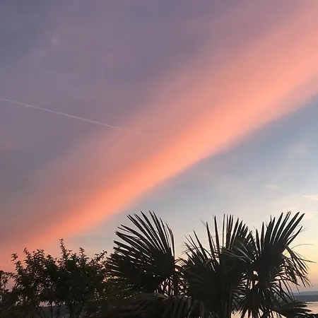 Gojevic 크리크베니카